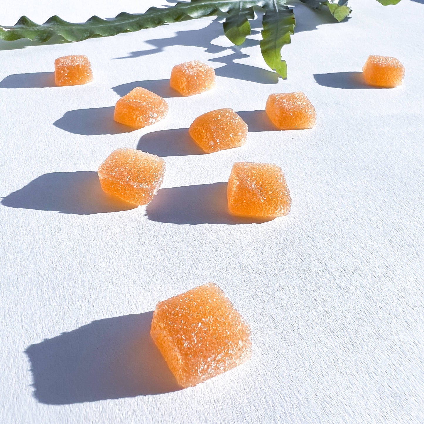 Concentrate Mushroom Gummies