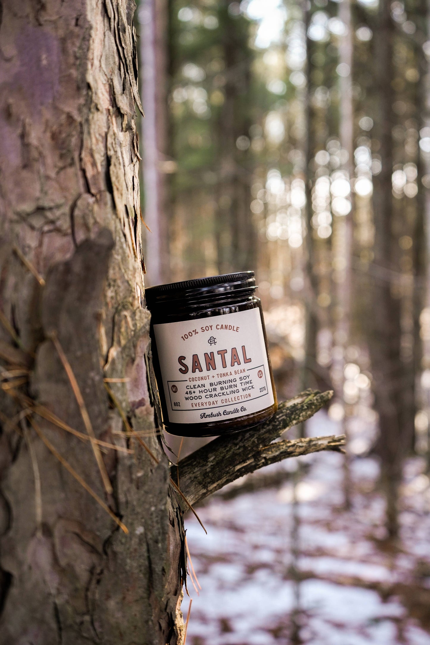 Santal | Coconut + Tonka Bean 8oz Soy Candle