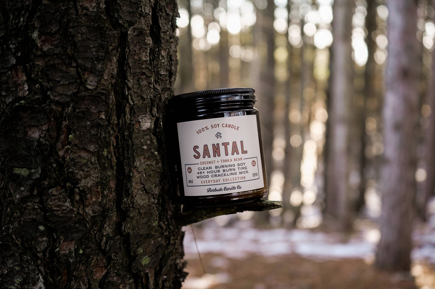 Santal | Coconut + Tonka Bean 8oz Soy Candle