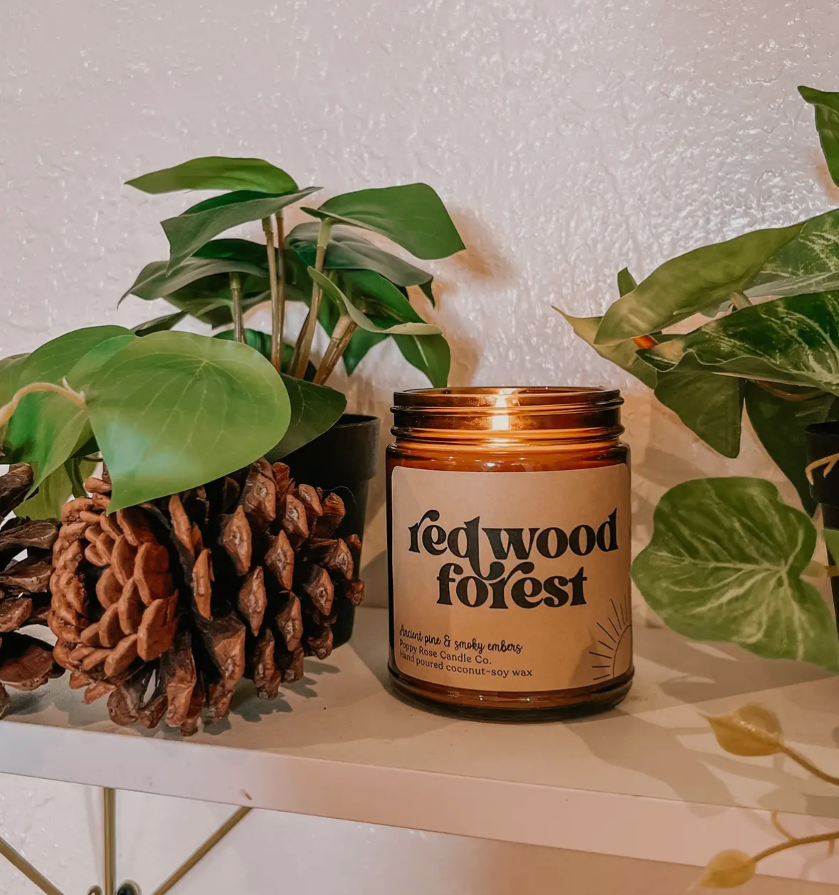 Redwood Forest- Poppy Rose Candle