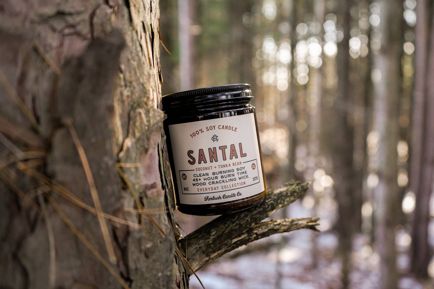 Santal | Coconut + Tonka Bean 8oz Soy Candle